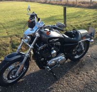 Harley Davidson Sportster 1200C Kess-Tech Nordrhein-Westfalen - Gladbeck Vorschau