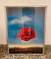 Bild The Rose von Salvador Dali, Silber Bilderrahmen Niedersachsen - Osnabrück Vorschau