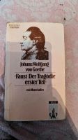 Goethe 'Faust der Tragödie erster Teil' - Edition Werkausgabe Thüringen - Suhl Vorschau