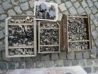 DDR Abstandschellen  - unbenutzt, FR Feuchtraumdosen Sachsen - Wurzen Vorschau