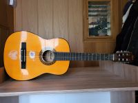 Bieten eine Gitarre zum Verkauf an Brandenburg - Golzow Vorschau
