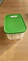 Tupperware Klima Box 4,4l TOP Rheinland-Pfalz - Rheinbreitbach Vorschau