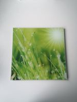 Glasbild, 30 x 30 Nordrhein-Westfalen - Herscheid Vorschau