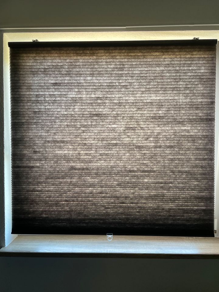 HOPPVALS Wabenjalousie, grau, 155x120cm, Rollo in Chemnitz