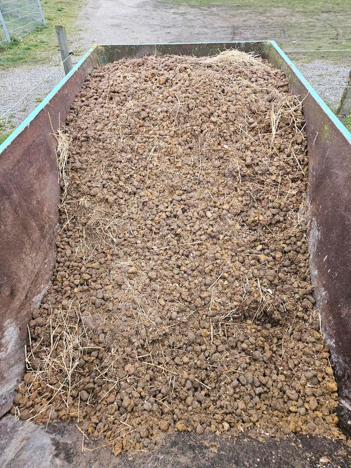 Pferdemist Pferdeäppel Dünger Garten in Harmsdorf