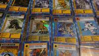 288 Digimon Karte Baden-Württemberg - Karlsdorf-Neuthard Vorschau