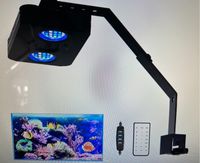 Lominie Aquarium Led Pixie150 Beleuchtung, Vollspektrum 14,8x14,8 Brandenburg - Mittenwalde Vorschau