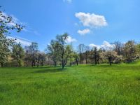 schönes Gartengrundstück zum Kauf in/um Renningen gesucht Baden-Württemberg - Renningen Vorschau