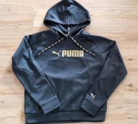 Puma Hoodie Bayern - Aurachtal Vorschau