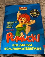 Pumuckl Der große Schlaubauterspass, Südwest Sachsen-Anhalt - Lieskau Vorschau