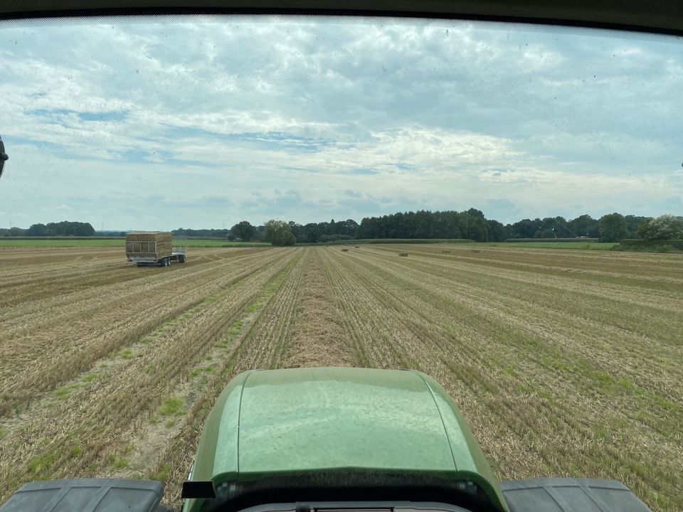 Wir suchen Stroh ab Feld Gerste Weizen Roggen Triticale Hafer in Soest