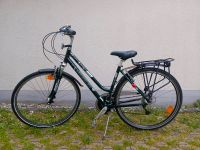 Fahrrad Wheeler, 28 Zoll, Alu-Rahmen, TOP Zustand Rheinland-Pfalz - Landau in der Pfalz Vorschau