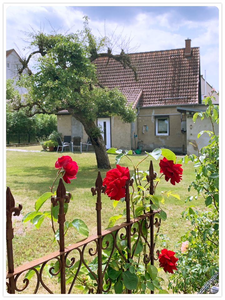 Gemütliches Einfamilienhaus in Lindow/ Mark in Lindow