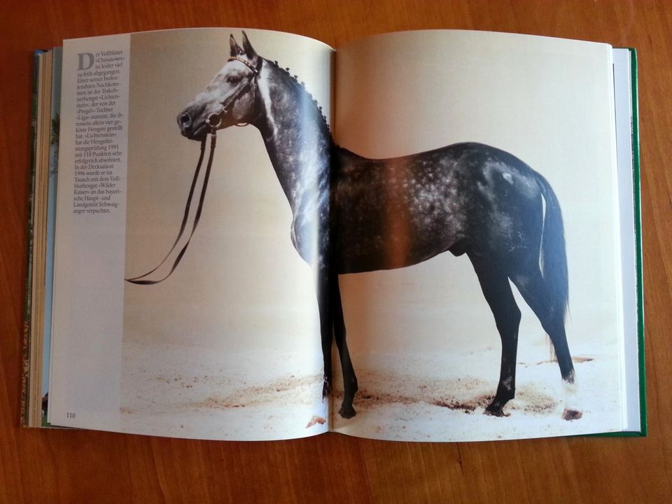 Pferdezucht in Marbach * Hengste Warmblut Araber Trakehner FOTOS in Duisburg