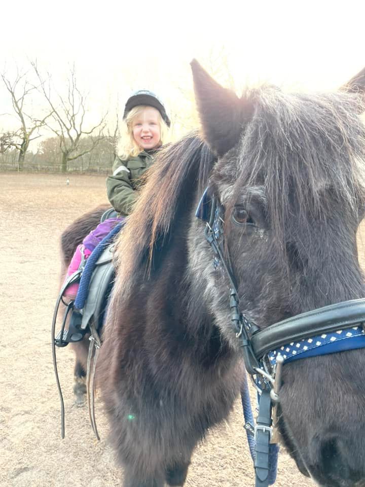 NEU Reitunterricht Gruppenunterricht Ponyclub Kinder Umgang in Neuenkirchen