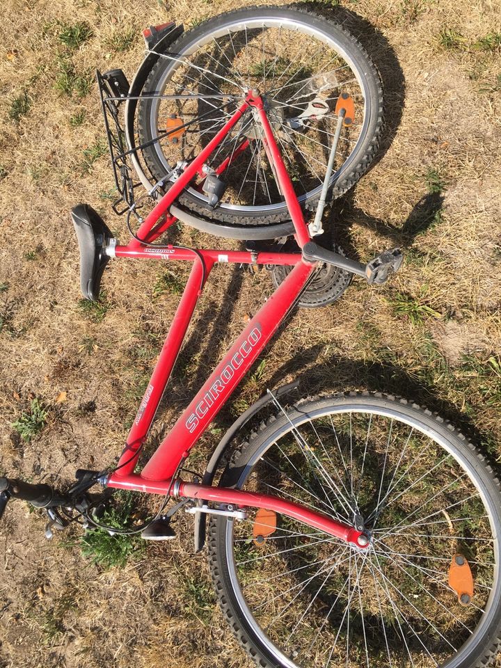 Kinderfahrrad in Salzmünde