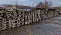 Holzpaletten, Bastelholz, Brennholz Parchim - Landkreis - Lübz Vorschau