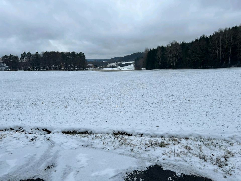 Ackerland in Neukirchen (Sulzbach-Rosenberg) in Neukirchen bei Sulzbach Rosenberg