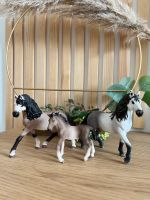 Schleich Pferde Andalusier Stute / Hengst / Fohlen Niedersachsen - Weyhe Vorschau