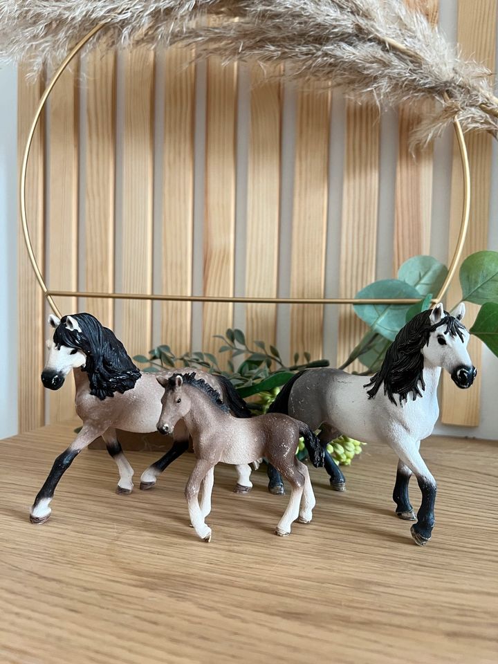 Schleich Pferde Andalusier Stute / Hengst / Fohlen in Weyhe