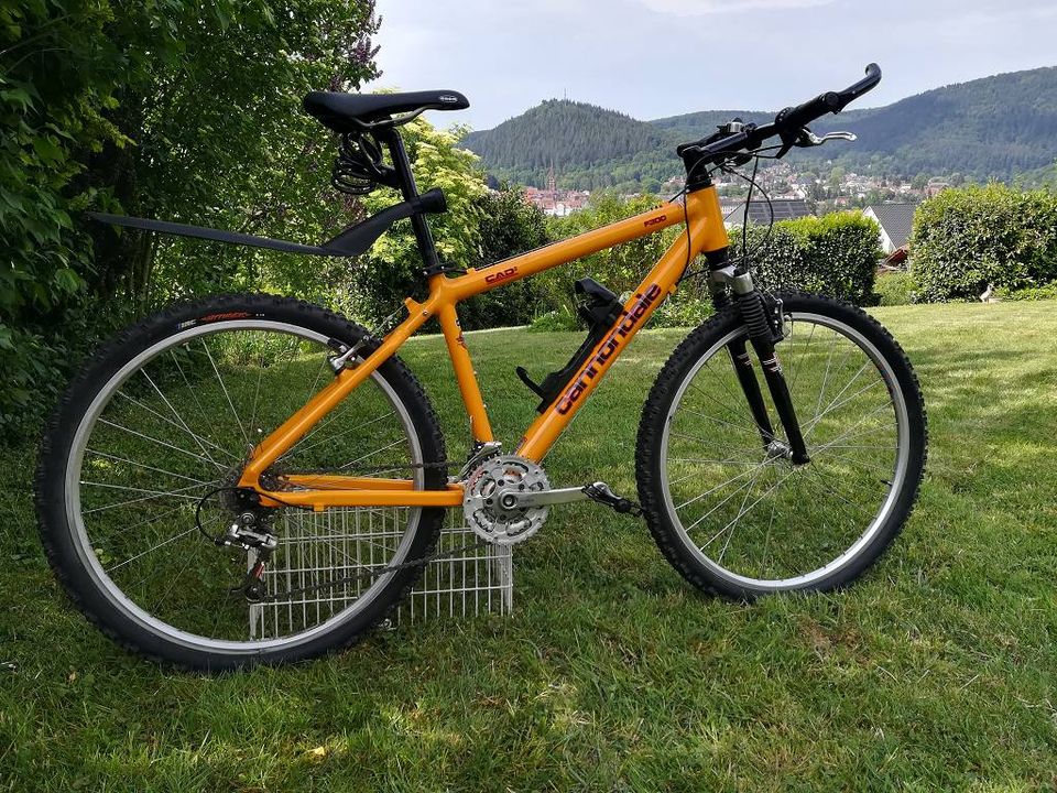 Cannondale F300 in Neckargemünd