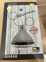 Retro Pendel Lampe Nordrhein-Westfalen - Werl Vorschau