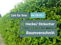 Heckenschnitt Baumschnitt Grünpflege Gartenpflege Haus Grundstü Sachsen - Löbau Vorschau