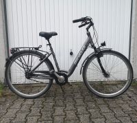Fahrrad 28 Zoll bec-de-lièvre Hessen - Darmstadt Vorschau