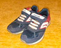 Geox Schuhe Sneaker für Jungen Gr. 31 Pankow - Prenzlauer Berg Vorschau