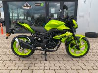 Benelli BN125 | NEW GENERATION | B196 | 125er | NEU Niedersachsen - Walsrode Vorschau