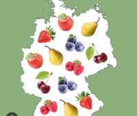 Obst zum Verarbeiten Nordrhein-Westfalen - Gelsenkirchen Vorschau