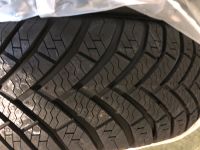 Reifen 4 Stück Neu,Origanal verpackt Linglong Tire Green-Max Rheinland-Pfalz - Idelberg Vorschau