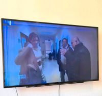 Grundig 55 zoll Fernsehr Niedersachsen - Salzhemmendorf Vorschau