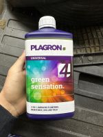 Plagron Green Sensation | mineralischer Blütezusatz | Hessen - Trebur Vorschau