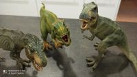 Kinder Spielzeug Dinosaurier Tyrannosaurus Rex Papo und Schleich Hessen - Erlensee Vorschau