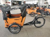 Babboe Curve Mountain 500Wh Lastenfahrrad Neu inkl. Regenverdeck Nordrhein-Westfalen - Gelsenkirchen Vorschau