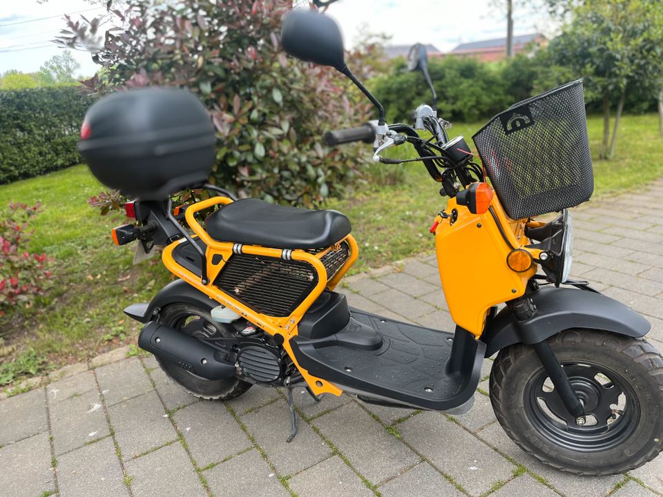 First Come - First Out: Cityflitzer Honda Zoomer in Viersen