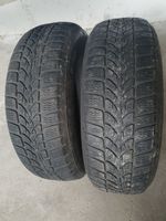 Dunlop Winterreifen 195/65R15 Nordrhein-Westfalen - Gelsenkirchen Vorschau