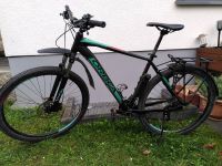 Orbea Mountainbike 29 MX Größe XL Hessen - Bad Vilbel Vorschau