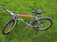 Mountainbike GRISLEY 26 Zoll Sachsen-Anhalt - Ilsenburg (Harz) Vorschau