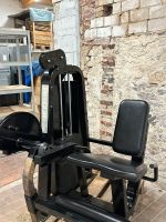 Precor Icarian Beinstrecker Bremen - Huchting Vorschau