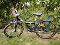 Pegasus Milano Fahrrad schwarz 26 Zoll Niedersachsen - Braunschweig Vorschau