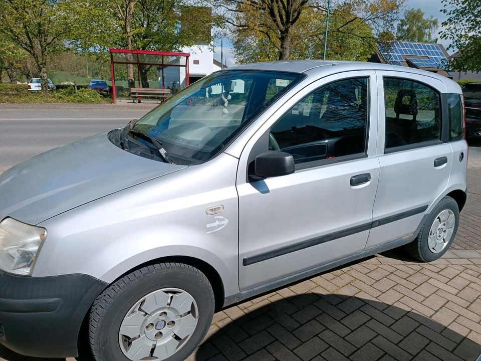 Fiat Panda mit LPG Gasanlage in Stadtoldendorf