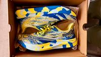 asics NOOSA TRI 15 Rheinland-Pfalz - Ochtendung Vorschau