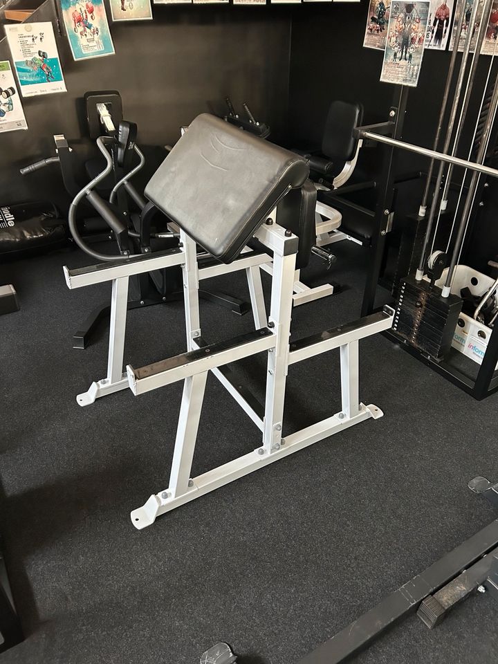 Homegym Rack Sqmize Curlpult Bad Company Klimmzug Monkey Babarian in Staufenberg