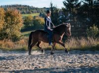 Gesundes Pferdetraining nach klassischen Grundsätzen Bayern - Langenneufnach Vorschau