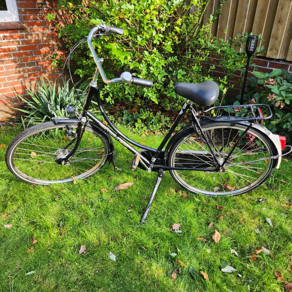 Gazelle Damenfahrrad 28 Zoll in Wardenburg