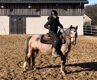 Tolle Appaloosa Ponystute - Freizeit/Zucht Rheinland-Pfalz - Gerolstein Vorschau