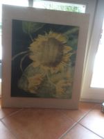 Bild, Leinen, Sonnenblumen Motiv Nordrhein-Westfalen - Ibbenbüren Vorschau