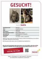 Katze Marta immernoch vermisst! Bonn - Südstadt Vorschau